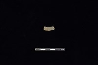 陶環藏品圖，第2張